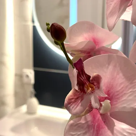 G1 Familial Lumineux Rdc Centre 公寓 昂古莱姆