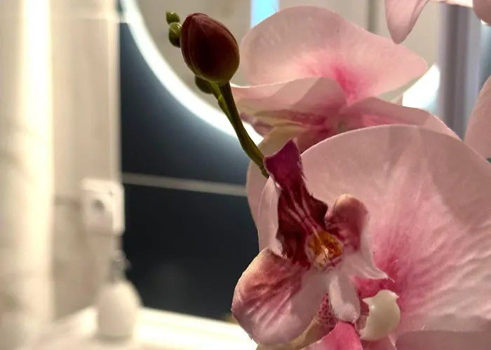 G1 Familial Lumineux Rdc Centre Apartamento Angulema